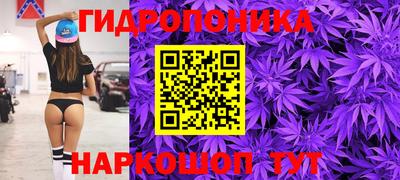 СК Краснознаменск